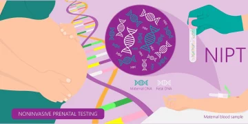 The Biochemistry of Prenatal Genetic Testing.