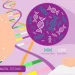 The Biochemistry of Prenatal Genetic Testing.