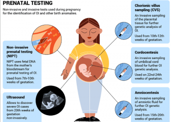 What are Non-invasive Prenatal Testing (NIPT) and NIPP?