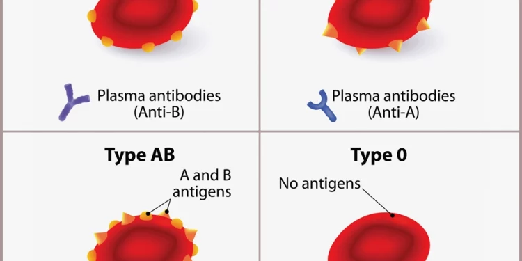 DNA relationships testing procedures