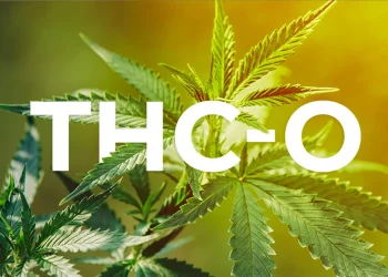 What Is THC-O Acetate? What You Must Know