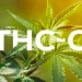 What Is THC-O Acetate? What You Must Know