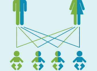 Can you do a DNA test with a picture?