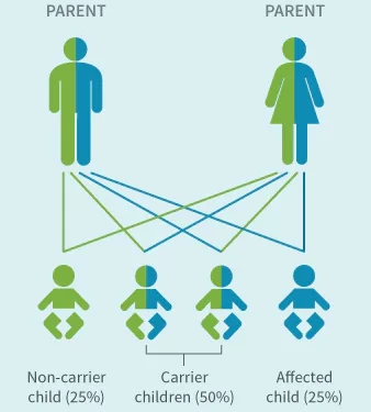 Can you do a DNA test with a picture?