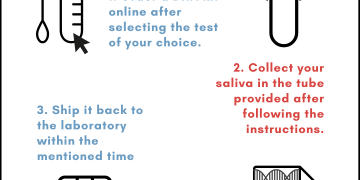 Sparks, NV: Can You Get a DNA Test While Pregnant?