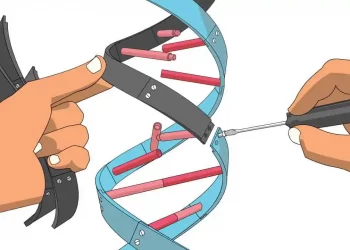 Biotech Faces A DNA-Like Chain Of Regulations.