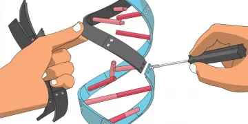 Biotech Faces A DNA-Like Chain Of Regulations.