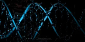 What is Junk DNA and How Does it Affect my Paternity Test?