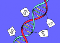 What are the Ethical Issues of DNA Testing?