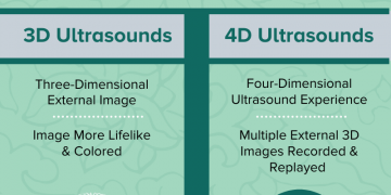 Is there a Difference between the 3D and 4D ultrasound scans?