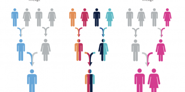 How does Someone Get Maximum Utility from an Ancestry DNA Test?