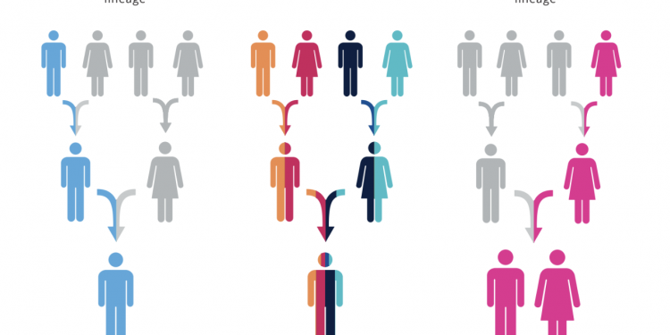 How does Someone Get Maximum Utility from an Ancestry DNA Test?