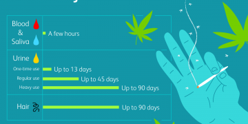 How Should I Use Stinger Detox to Get Rid of Marijuana?