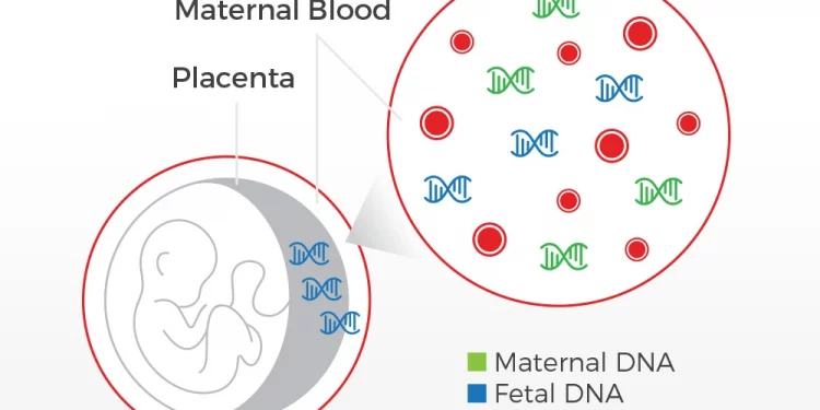 What Are The Risks Of DNA Paternity Testing?
