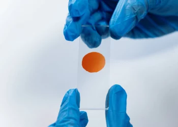 Navigating Paternity Test Court Orders in Spring Valley NV