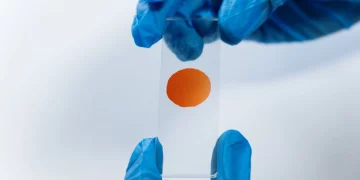 Navigating Paternity Test Court Orders in Spring Valley NV