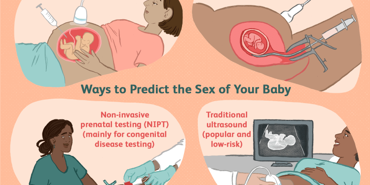 Paternity Test for Unborn Child – No Sex Determination