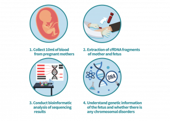 Paternity Test While Pregnant