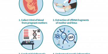 Paternity Test While Pregnant