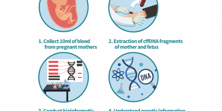 Paternity Test While Pregnant