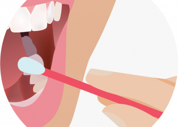 How To Get DNA Testing Done?