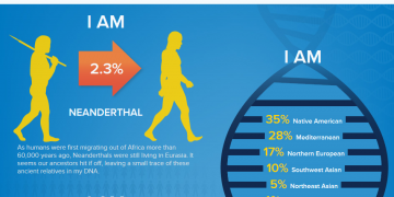 Is a DNA Test Required for Child Support?